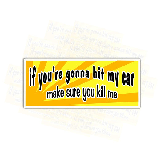 Funny Bumper Sticker: If You’re Gonna Hit My Car