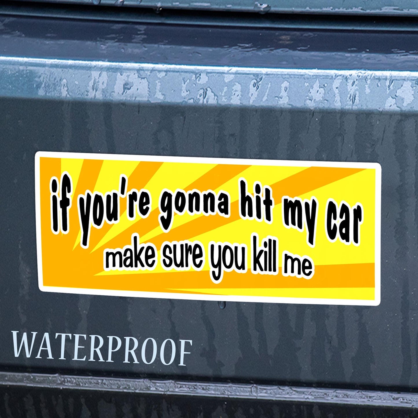 Funny Bumper Sticker: If You’re Gonna Hit My Car