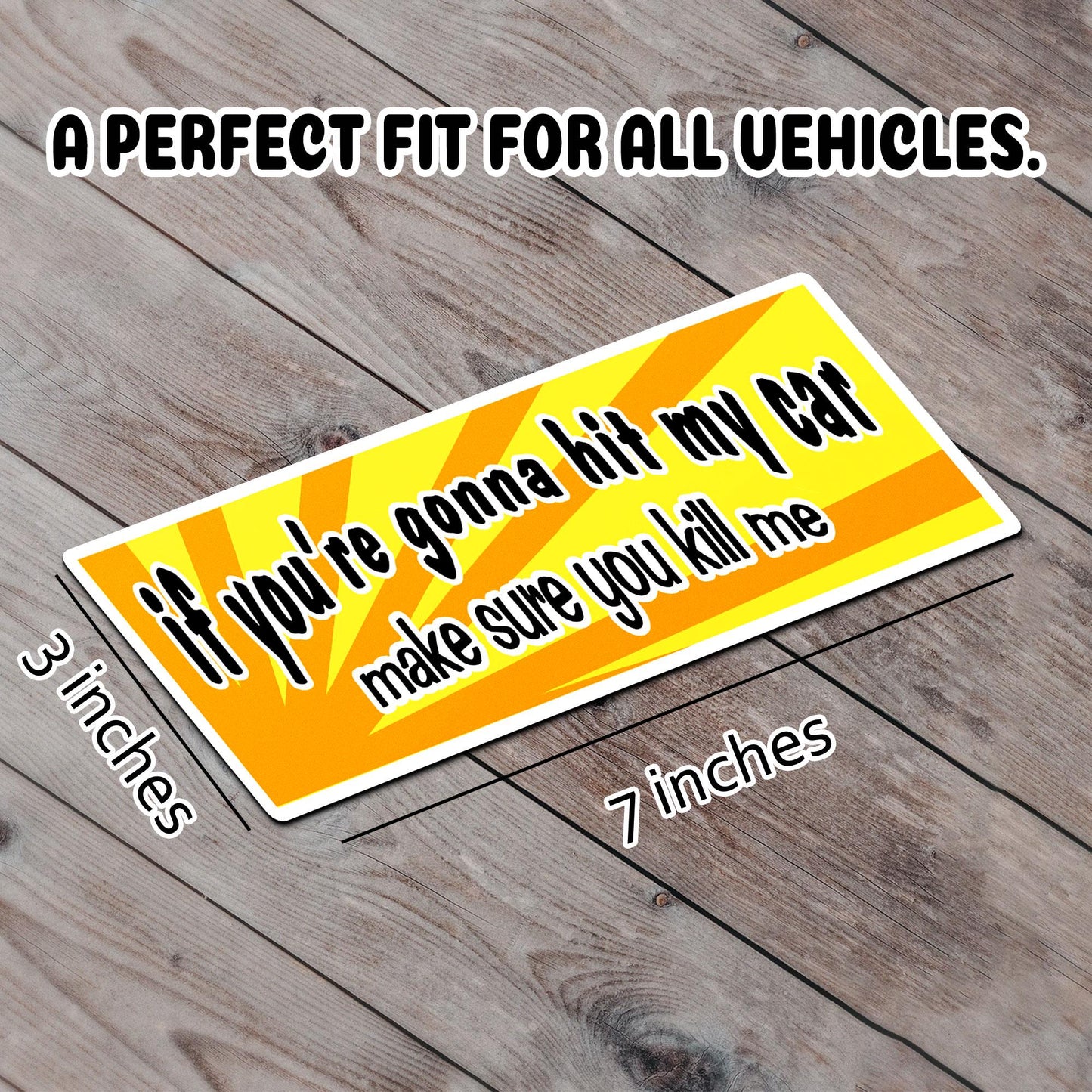 Funny Bumper Sticker: If You’re Gonna Hit My Car