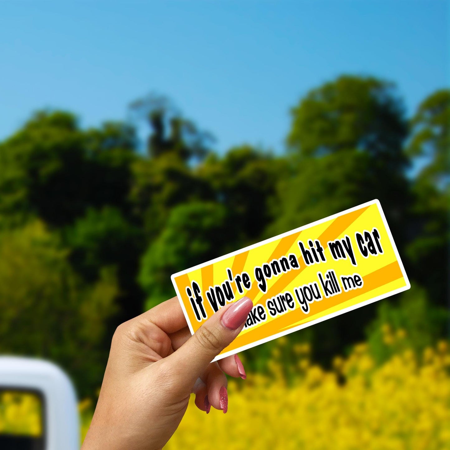 Funny Bumper Sticker: If You’re Gonna Hit My Car