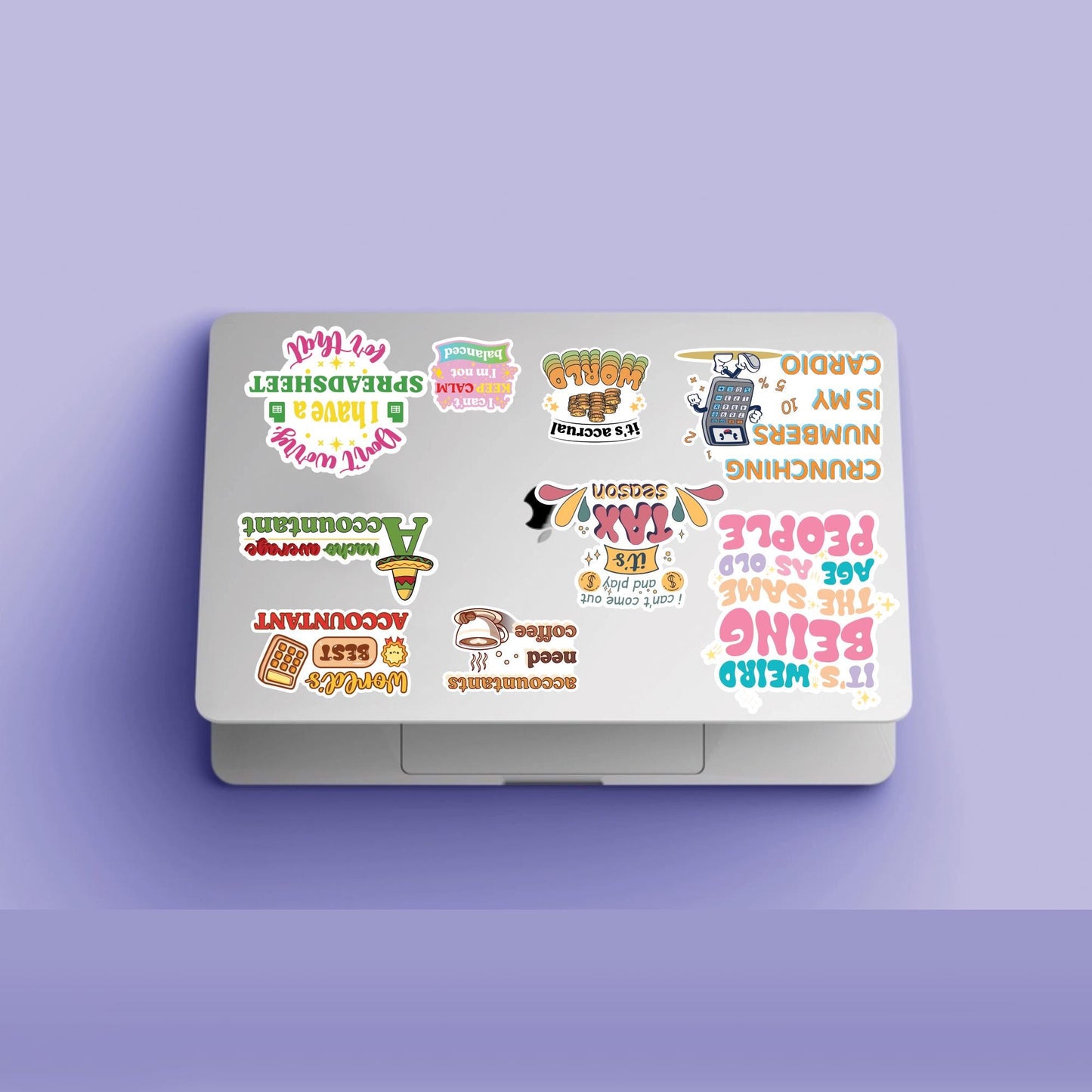CPA Accountant Sticker Sheet (10 pcs) - Funny Waterproof Vinyl Decals