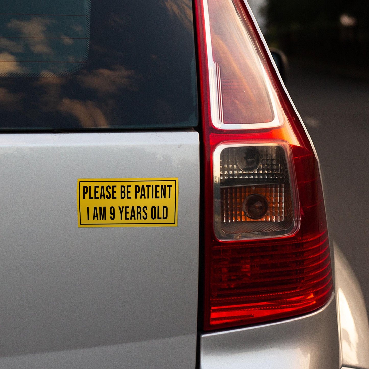 Please be Patient I am 9 Years Old Bumper Sticker Vinyl Waterproof Sticker Decal for Car Wall Window Bumper Sticker Multiple Size Choices